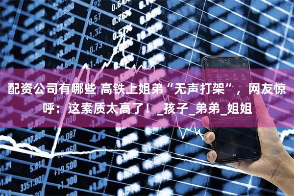 配资公司有哪些 高铁上姐弟“无声打架”，网友惊呼：这素质太高了！_孩子_弟弟_姐姐