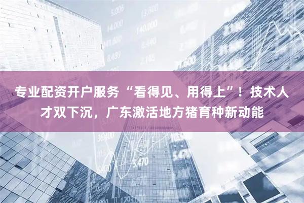 专业配资开户服务 “看得见、用得上”！技术人才双下沉，广东激活地方猪育种新动能